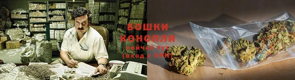 МДПВ Медногорск