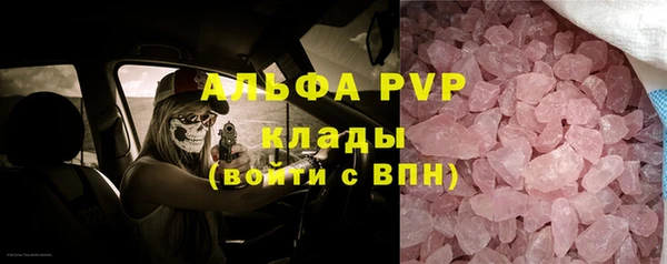 твердый Магас