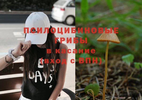 Альфа ПВП Майский