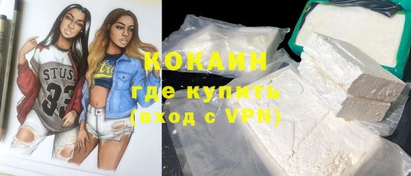 твердый Магас