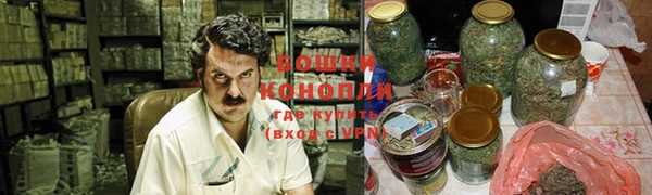 твердый Магас