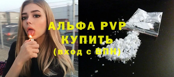 твердый Магас