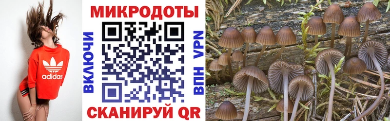 как найти   Кинешма  Псилоцибиновые грибы прущие грибы 