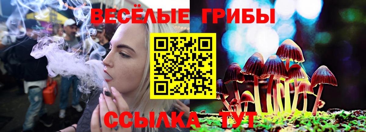 Псилоцибиновые грибы MAGIC MUSHROOMS  Вход с VPN  где найти наркотики  Кинешма 