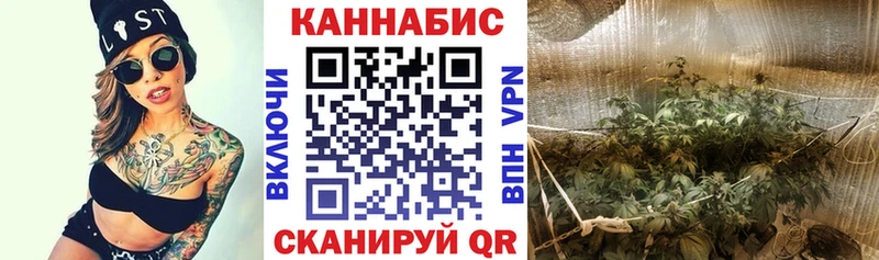 Конопля конопля  Кинешма 